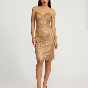 Express Gold Lace Midi Dress